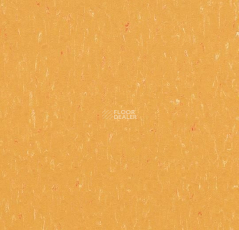 Forbo Marmoleum Solid Piano 3622-362235 mellow yellow фото 1 | FLOORDEALER